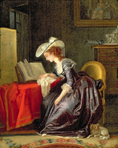 Frau liest ein Buch von Jean Frederic Schall